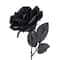 12 Pack: Black Open Rose Stem by Ashland&#x2122;